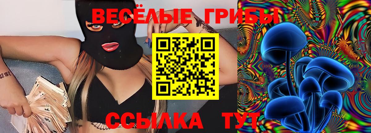 Галлюциногенные грибы ЛСД Дербент